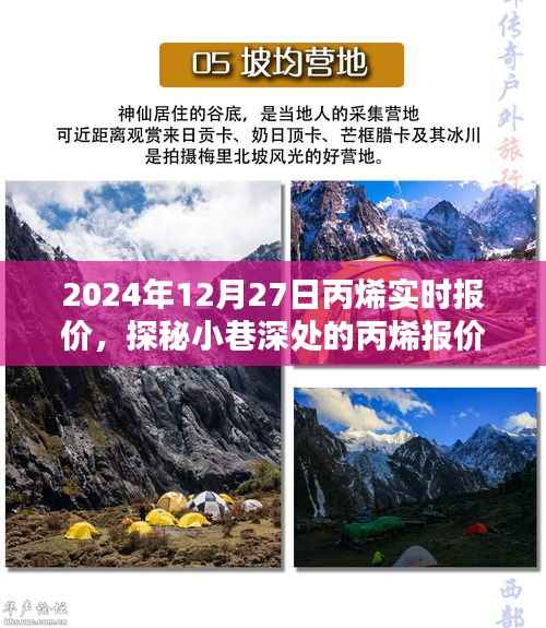探秘丙烯报价秘境,揭秘2024年12月27日丙烯实时行情与报价深度解析