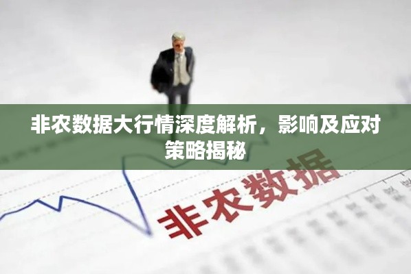 非农数据大行情深度解析,影响及应对策略揭秘