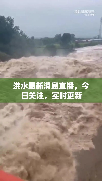 洪水最新消息直播,今日关注,实时更新