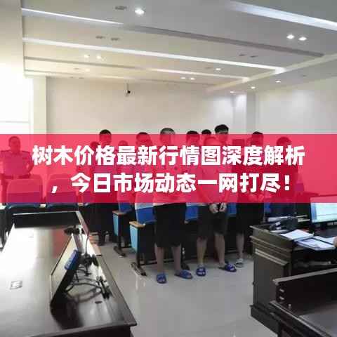 树木价格最新行情图深度解析,今日市场动态一网打尽!