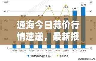 通海今日蒜价行情速递,最新报价与市场走势分析