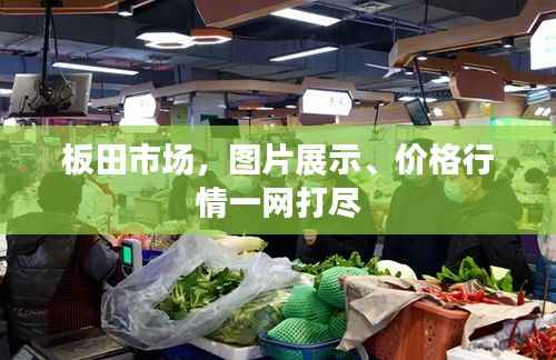 板田市场,图片展示、价格行情一网打尽