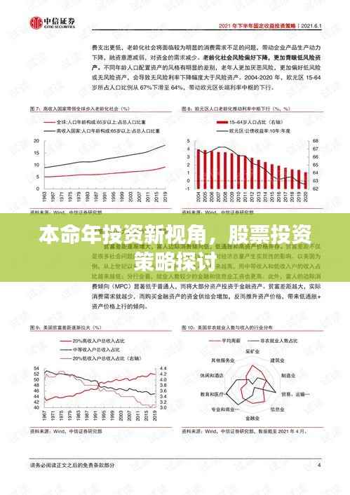 本命年投资新视角,股票投资策略探讨