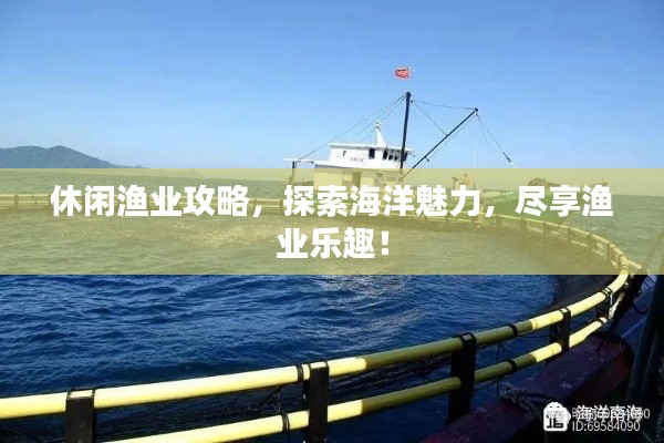 休闲渔业攻略,探索海洋魅力,尽享渔业乐趣!