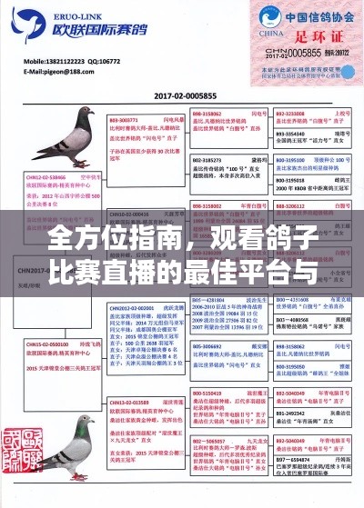 guangmingleiluo 第2页