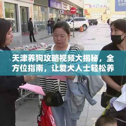 天津养狗攻略视频大揭秘,全方位指南,让爱犬人士轻松养宠!