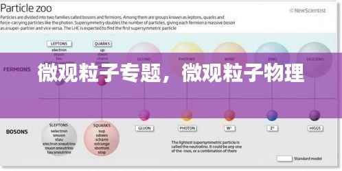 微观粒子专题,微观粒子物理