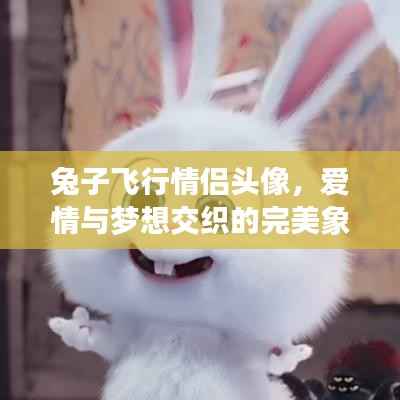 兔子飞行情侣头像,爱情与梦想交织的完美象征