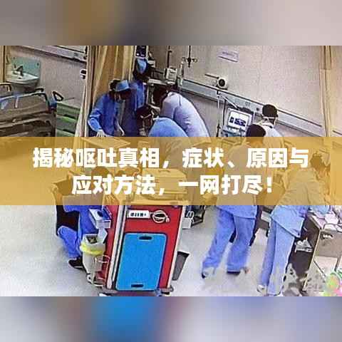 揭秘呕吐真相,症状、原因与应对方法,一网打尽!