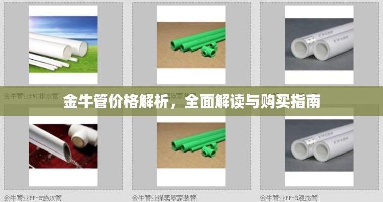 龙飞凤舞 第2页