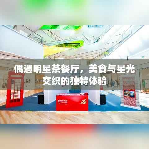 偶遇明星茶餐厅,美食与星光交织的独特体验
