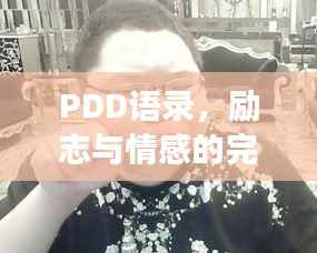 PDD语录,励志与情感的完美交融之道