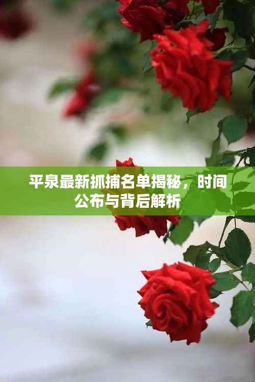 平泉最新抓捕名单揭秘,时间公布与背后解析