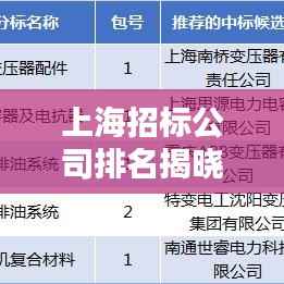 上海招标公司排名揭晓,行业影响力大揭秘!