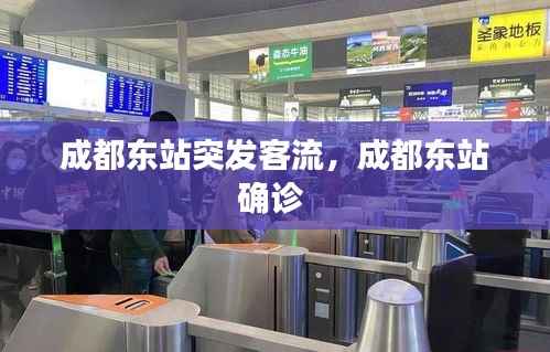 成都东站突发客流,成都东站确诊