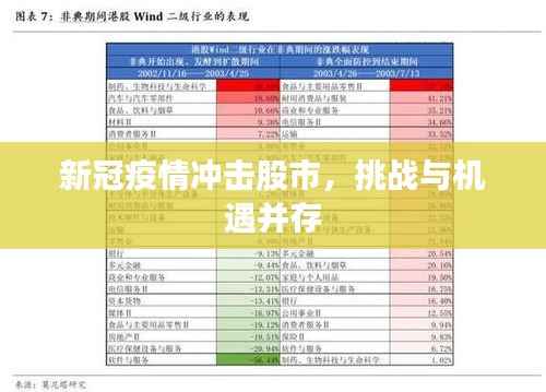 新冠疫情冲击股市,挑战与机遇并存