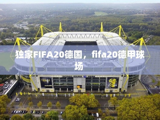 独家FIFA20德国,fifa20德甲球场