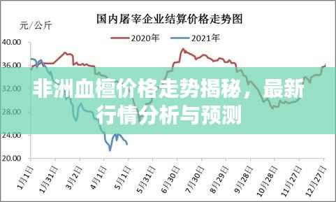 非洲血檀价格走势揭秘,最新行情分析与预测