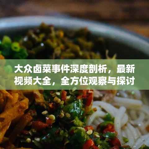 大众卤菜事件深度剖析,最新视频大全,全方位观察与探讨