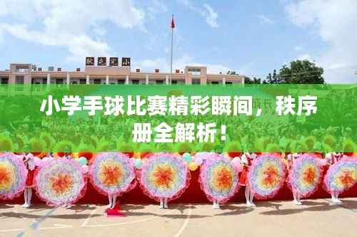 小学手球比赛精彩瞬间,秩序册全解析!