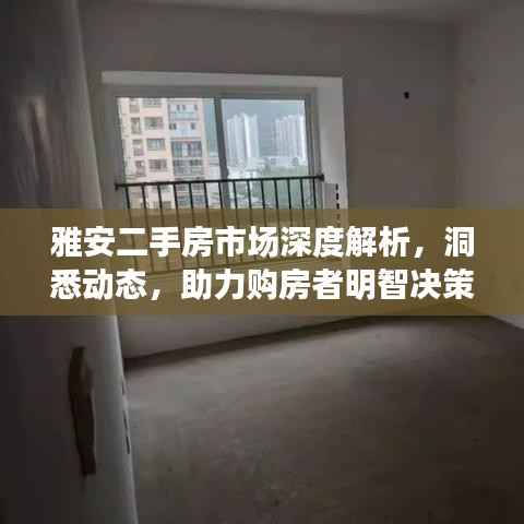 雅安二手房市场深度解析,洞悉动态,助力购房者明智决策