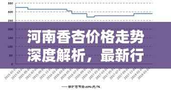 河南香杏价格走势深度解析,最新行情报告!