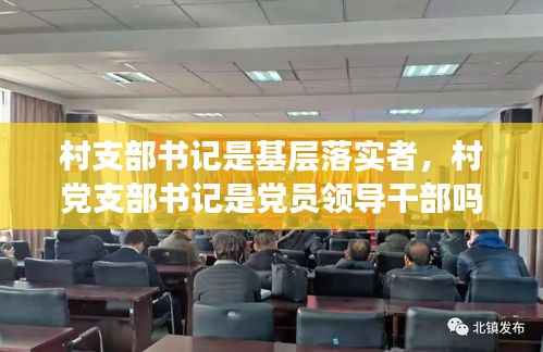 村支部书记是基层落实者,村党支部书记是党员领导干部吗
