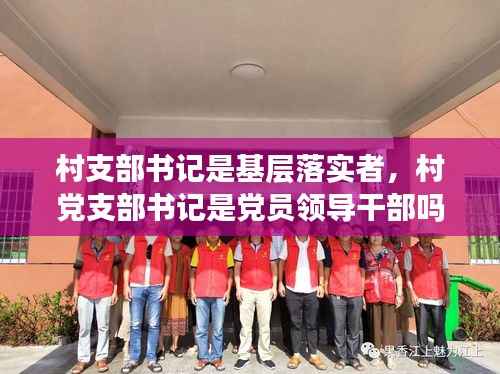 村支部书记是基层落实者,村党支部书记是党员领导干部吗