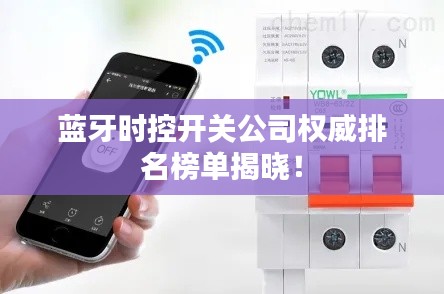 蓝牙时控开关公司权威排名榜单揭晓！