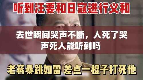 去世瞬间哭声不断,人死了哭声死人能听到吗