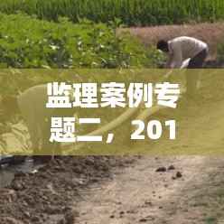 监理案例专题二,2017年监理案例视频讲解