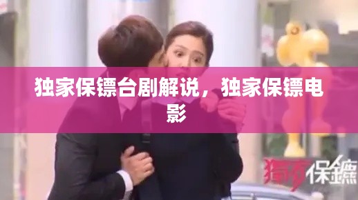 独家保镖台剧解说,独家保镖电影