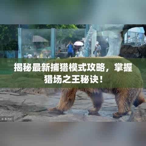 揭秘最新捕猎模式攻略，掌握猎场之王秘诀！