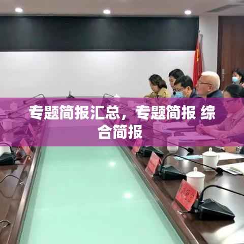 专题简报汇总,专题简报 综合简报