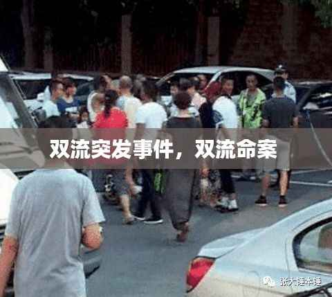 双流突发事件,双流命案