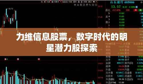 力维信息股票,数字时代的明星潜力股探索