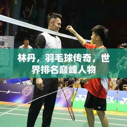 林丹,羽毛球传奇,世界排名巅峰人物