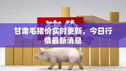 甘肃毛猪价实时更新,今日行情最新消息