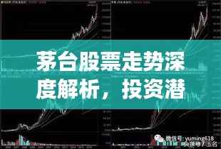 茅台股票走势深度解析,投资潜力与风险洞察