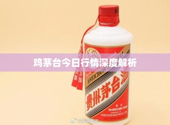 鸡茅台今日行情深度解析